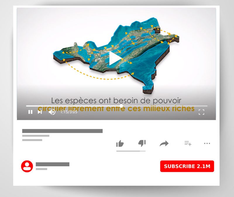Coeur de Savoie