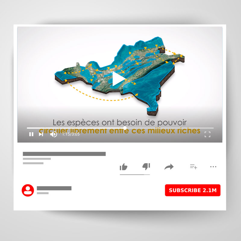 Coeur de Savoie